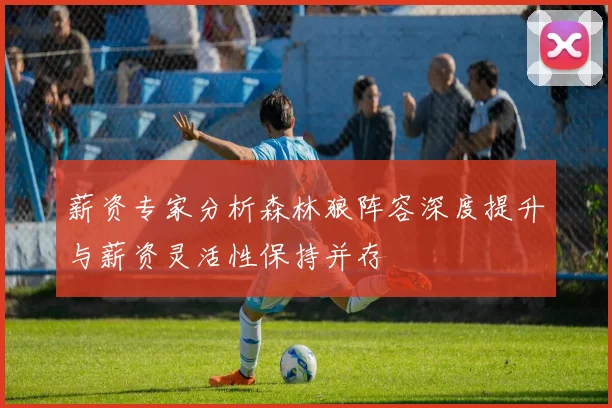 薪资专家分析森林狼阵容深度提升与薪资灵活性保持并存